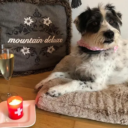 شقة Mountain Deluxe بارثولومابيرغ