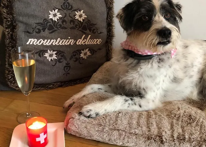 Appartement Mountain Deluxe Bartholomäberg